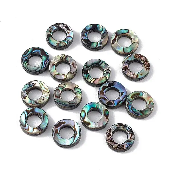 Natural Abalone Shell/Paua Shell Beads