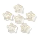 Transparent Spray Paint Glass Beads