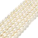 Natural Cultured Freshwater Pearl Beads Strands
