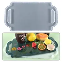 DIY Tray Silicone Molds