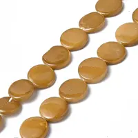 Spray Painted Natural Freshwater Shell Beads Strands