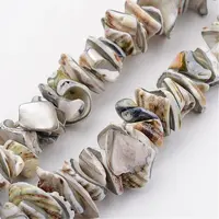 Natural Shell Bead Strands