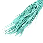 Goose Feather Costume Accessories