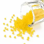 (Repacking Service Available) Glass Seed Beads