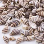 Natural Spiral Shell Beads