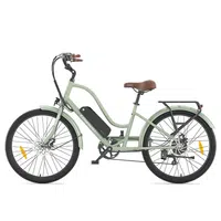 Touroll B2 Electric Bike 250W 36V 15.6Ah