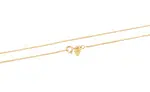 Beneto Exclusive Pozlátený strieborná retiazka Anker AGS1286-GOLD 42 cm