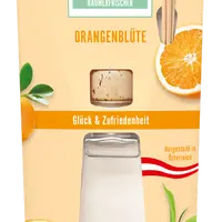 FROSCH Eko Oase Pomerančový háj 90 ml
