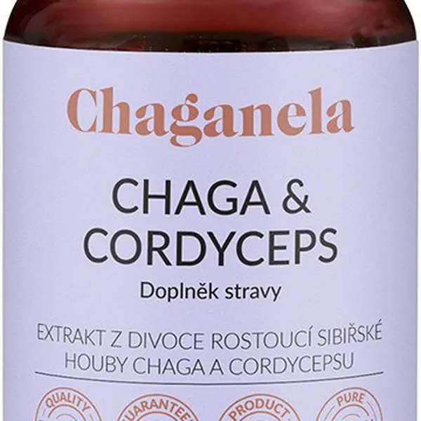 CHAGANELA Extrakt čagy s cordycepsem 60 kapslí