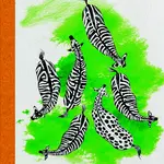 Kniha: Bazar u puntíkaté zebry od Giordano Raphaëllee