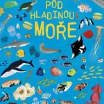 Pod hladinou moře