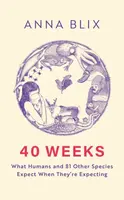 40 Weeks - Anna Blix