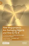 How Megaprojects Are Damaging Nigeria and How to Fix It - Christoph Loch, Kishore Sengupta, Jimoh Ibrahim