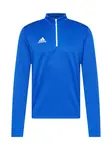 ADIDAS PERFORMANCE Športová mikina 'Entrada 22'  modrá / biela