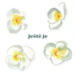 Vladimír Javorský – Ještě je LP