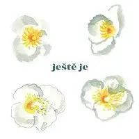 Vladimír Javorský – Ještě je LP