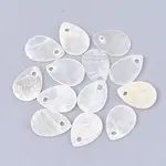 Capiz Shell Charms