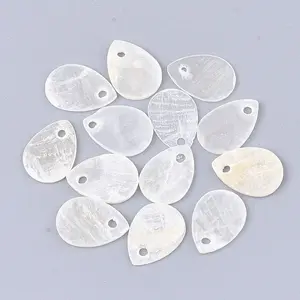 Capiz Shell Charms