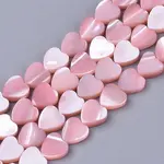 Natural Trochid Shell/Trochus Shell Beads Strands