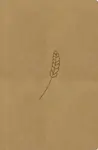 Bible21 - kapesní