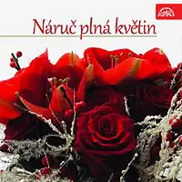 Různí interpreti – Náruč plná květin