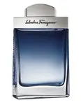 Salvatore Ferragamo Subtil Pour Homme - EDT 50 ml