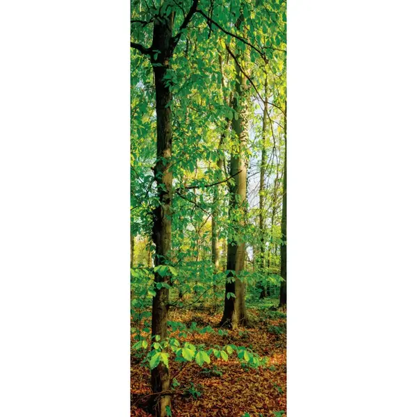 Euroart MALBA NA PLÁTNĚ, stromy, 30/80/3 cm