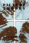 Picture Theory - W. J. T. Mitchell