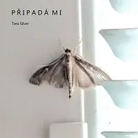 Tera Silver – Připadá mi