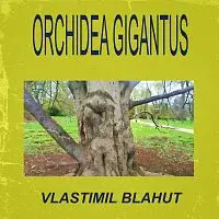 Vlastimil Blahut – Orchidea gigantus