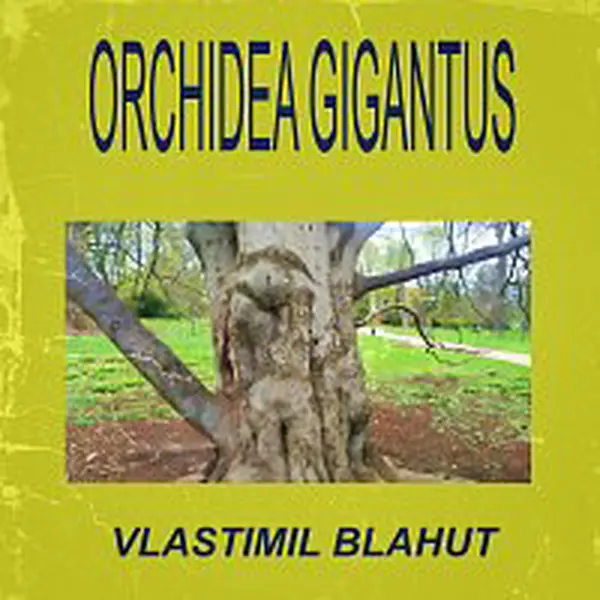 Vlastimil Blahut – Orchidea gigantus