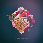 Z davu – U srdce jak