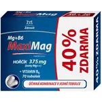 MAXIMAG Horčík 375 mg + B6 40% ZADARMO 70 kapsúl
