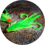 Redbass gumová nástraha nymfa fluo/green rh uv - xxl 20 cm 33 g