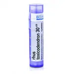Rhus toxicodendron 30CH granule 4g