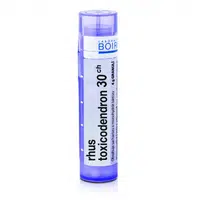 Rhus toxicodendron 30CH granule 4g