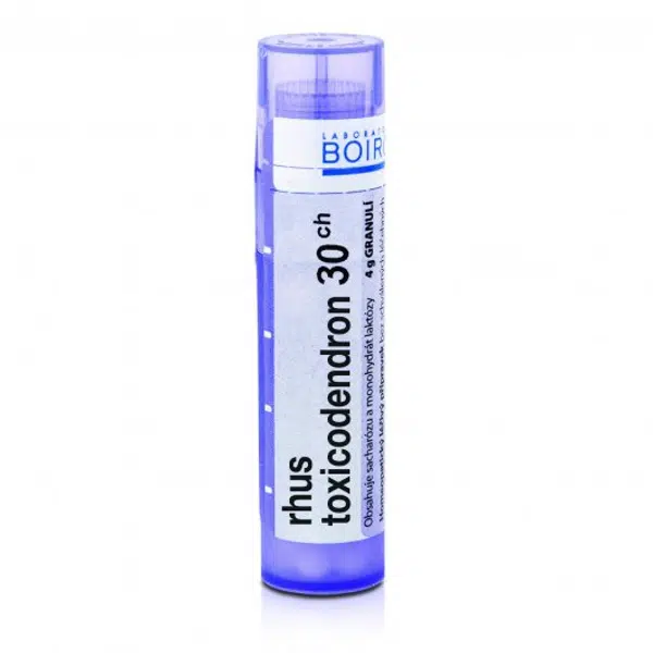 Rhus toxicodendron 30CH granule 4g