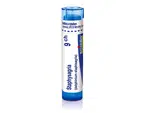 Staphysagria 9CH granule 4g
