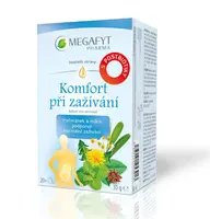 Megafyt Komfort při zažívání 20 x 1.5 g