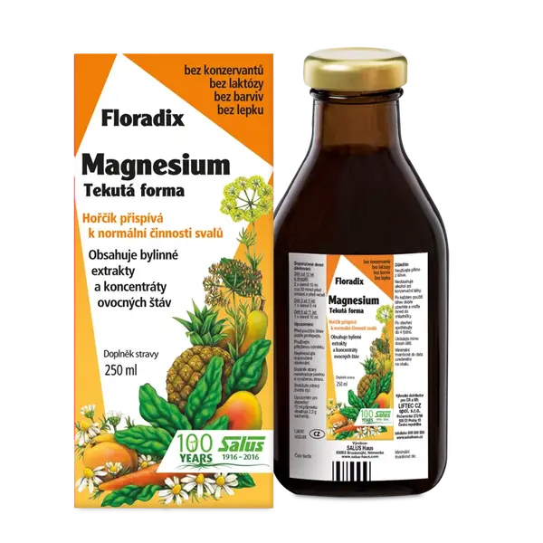 SALUS Floradix Magnesium