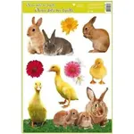 Anděl Okenná fólia Veľkonočné kuriatka 30 x 42 cm Králici
