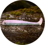 Redbass gumová nástraha ripper swimmer slim ghost natur - s 70 mm