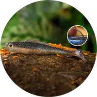 Redbass gumová nástraha ripper kicker super natur - xs 42 mm