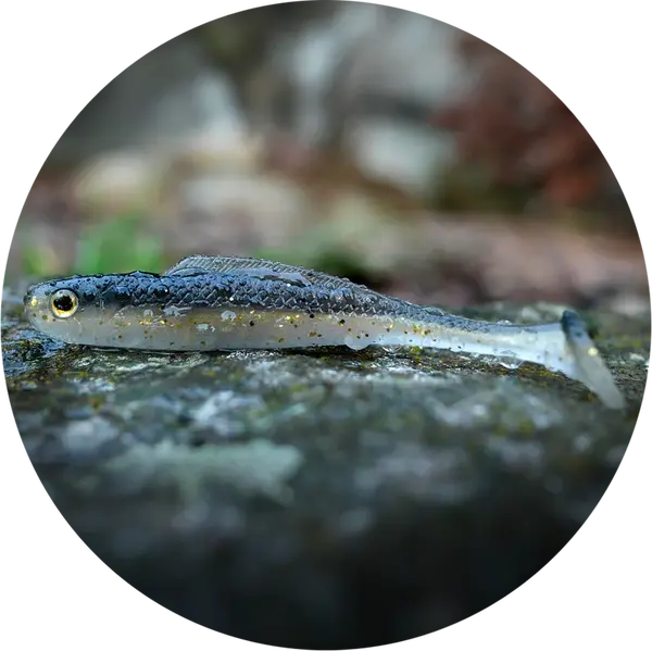 Redbass gumová nástraha ripper kicker bass - xs 42 mm