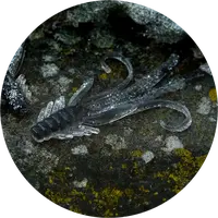 Redbass gumová nástraha nymfa natur g - x 100 mm