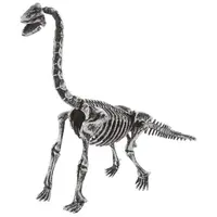 Archeologický set 3D Brachiosaurus