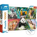 Animal Planet: Království zvířat - puzzle z kategorie Zvířata