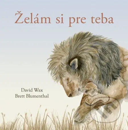 Želám si pre teba - David Wax, Brett Blumenthal - kniha z kategorie Beletrie pro děti