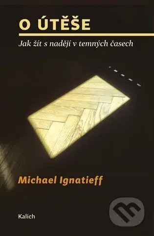 O útěše: jak žít s nadějí v temných časech - Michael Ignatieff - kniha z kategorie Životopisy