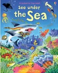 See Under the Sea - Kate Davies, Colin King (ilustrátor) - kniha z kategorie Naučné knihy